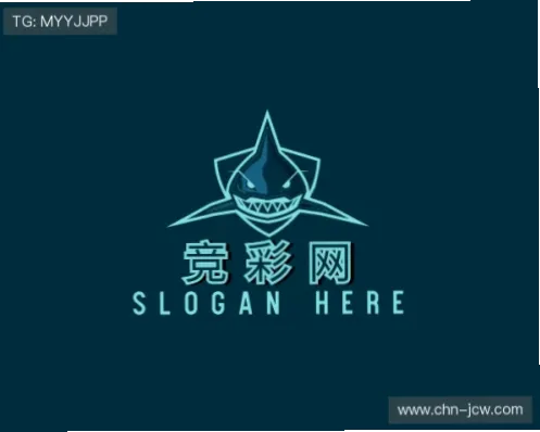 中国竞彩网官网网址是什么？如何找到官方入口